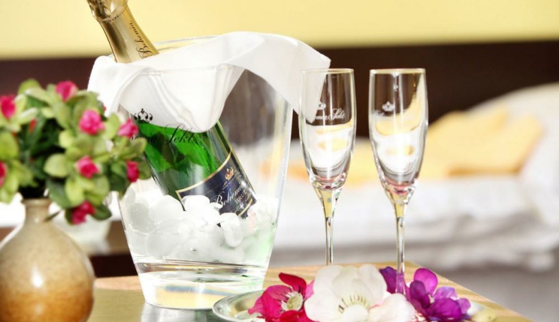 Hotel Milan Vopička  Hluboká nad Vltavou